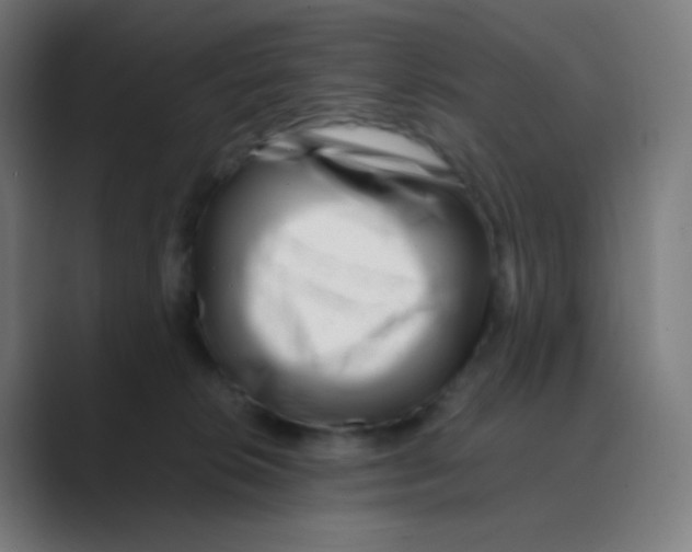 X0000088460276200706191335