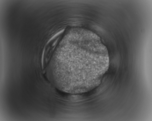 X0000088460277200706191335