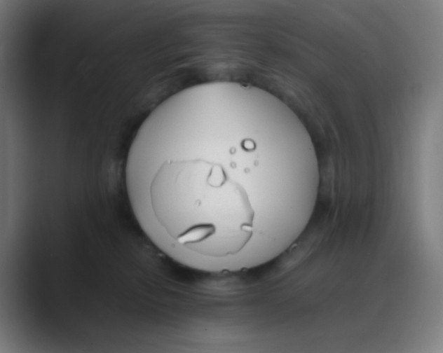 X0000088460278200706191335