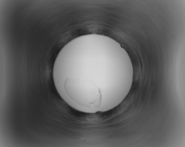 X0000088460279200706191335