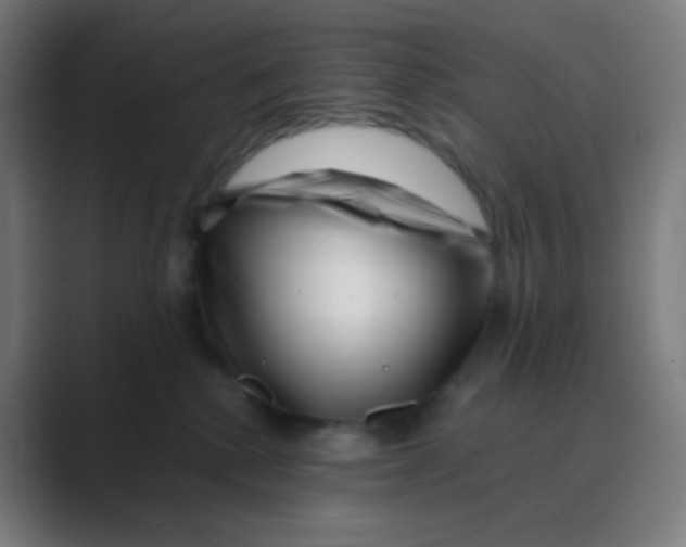 X0000088460280200706191335