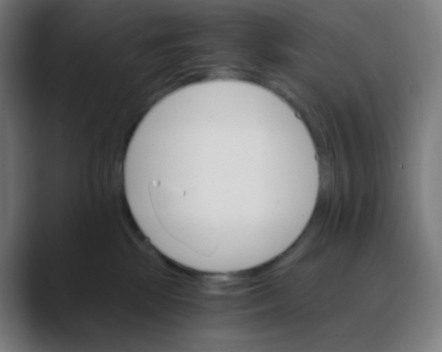X0000088460281200706191335