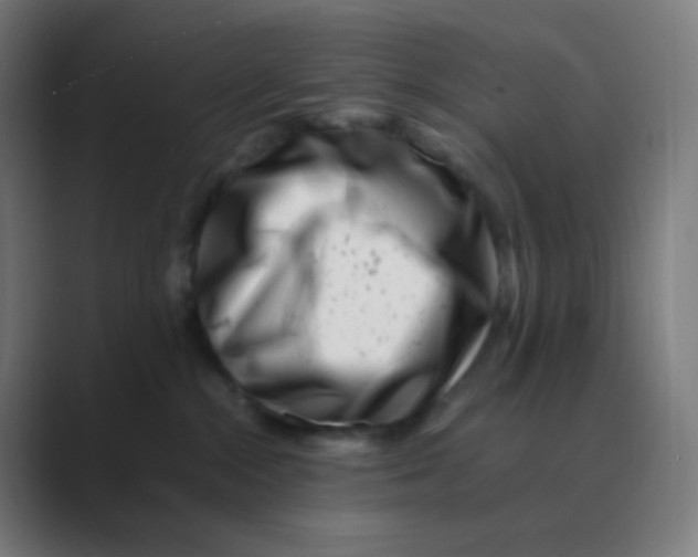 X0000088460284200706191335