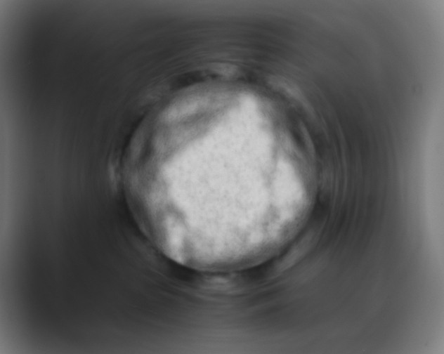 X0000088460285200706191335