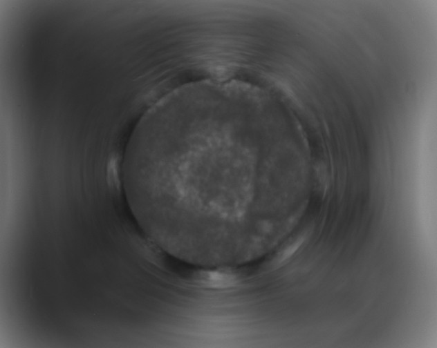 X0000088460286200706191335