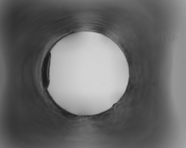 X0000088460289200706191334