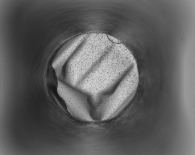 X0000088460290200706191334