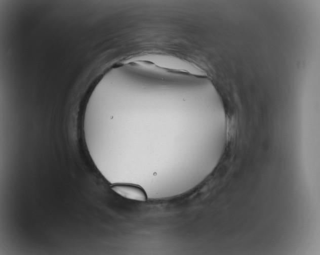 X0000088460291200706191334