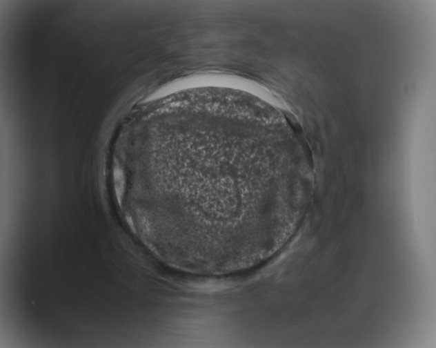 X0000088460293200706191334