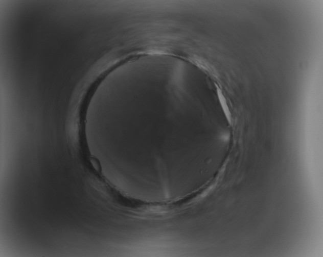 X0000088460295200706191334