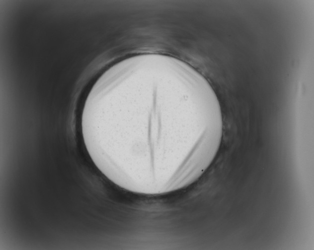 X0000088460296200706191334