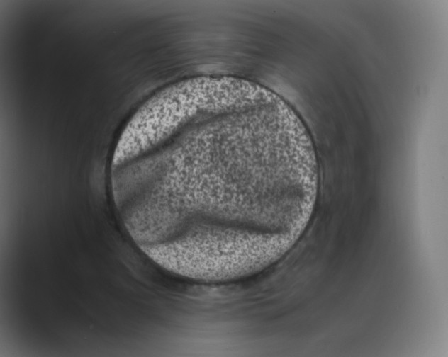 X0000088460297200706191334