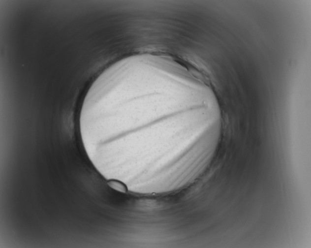X0000088460298200706191334