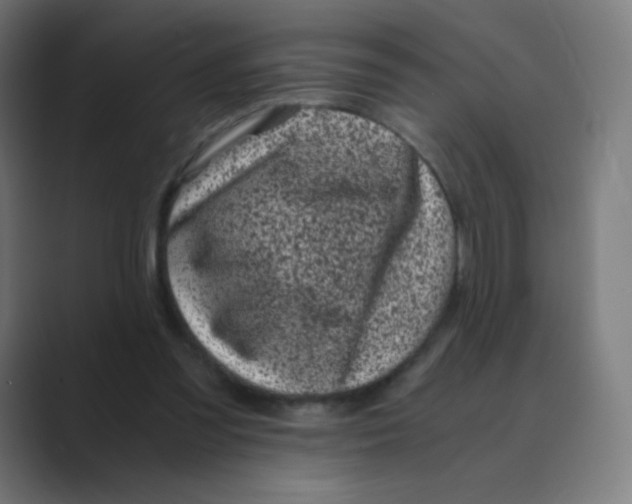 X0000088460301200706191334