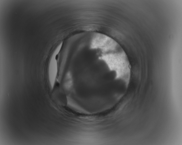 X0000088460303200706191334