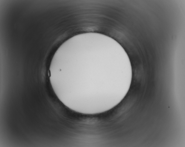 X0000088460304200706191334