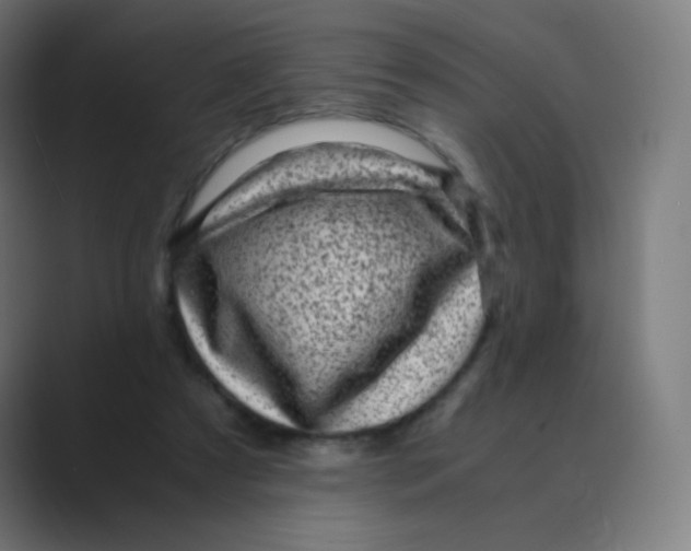 X0000088460305200706191334