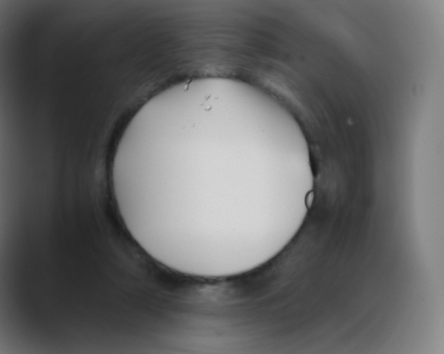 X0000088460306200706191334