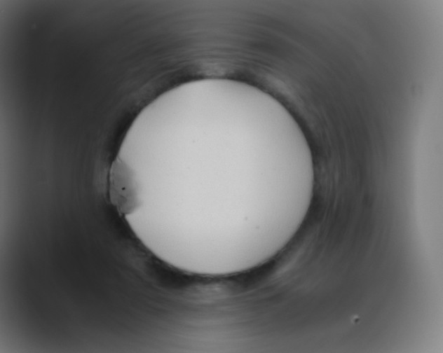 X0000088460307200706191334