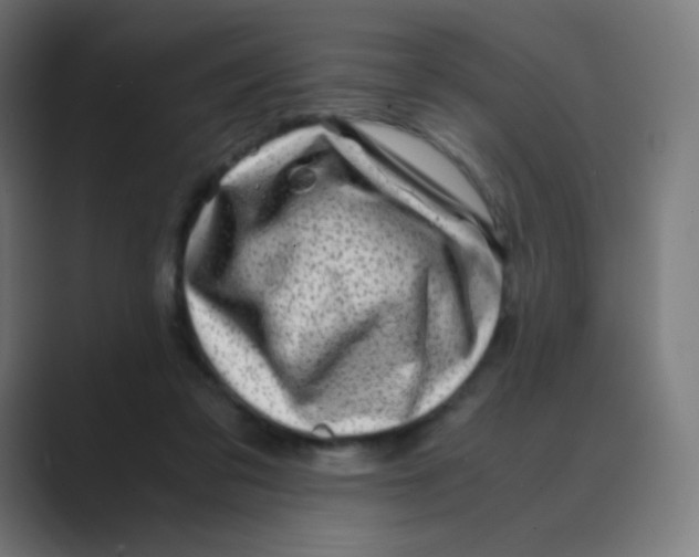 X0000088460309200706191334
