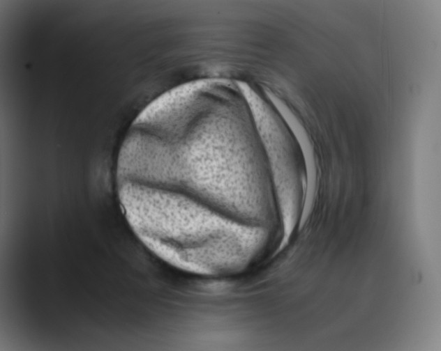 X0000088460313200706191334