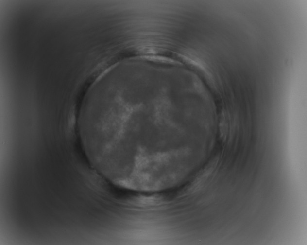 X0000088460314200706191334