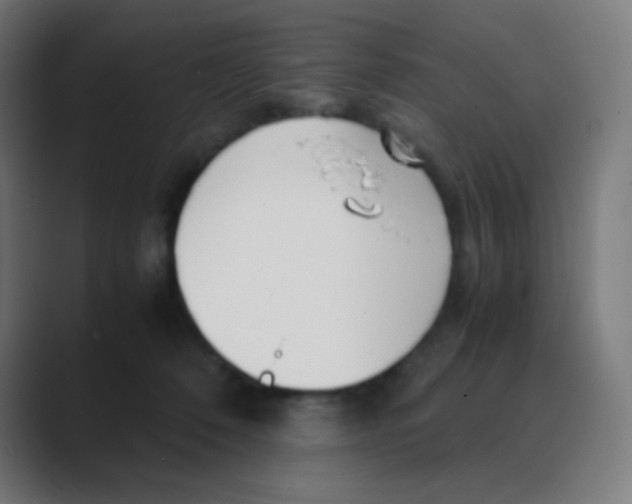 X0000088460320200706191334