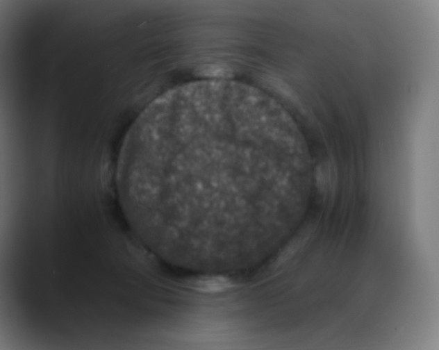X0000088460322200706191334