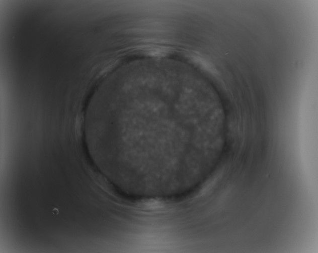 X0000088460325200706191334
