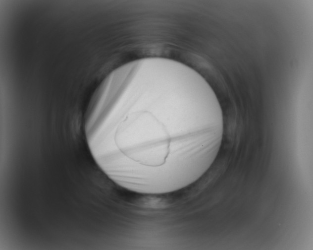 X0000088460326200706191334