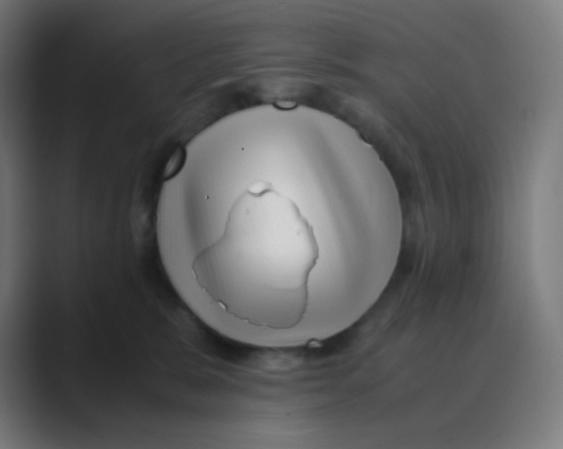 X0000088460327200706191334