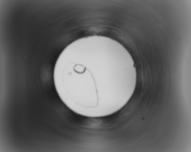 X0000088460328200706191334