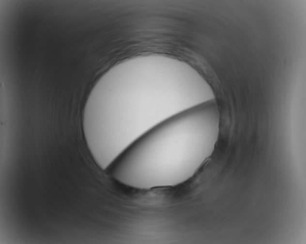 X0000088460329200706191334