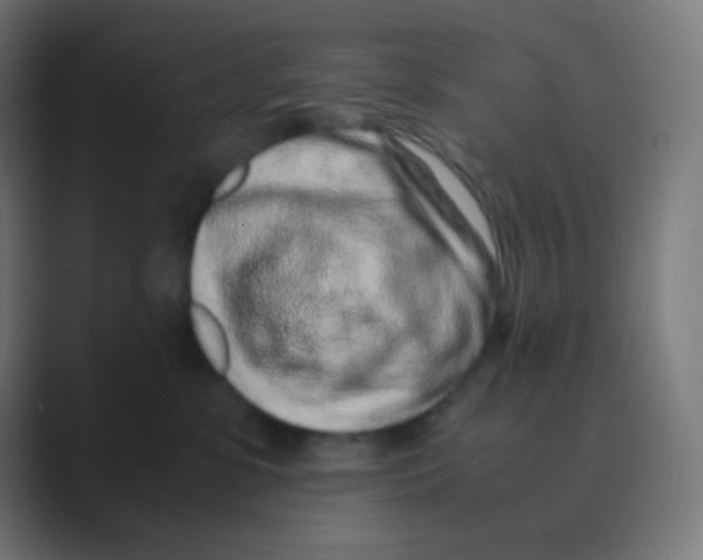 X0000088460331200706191334