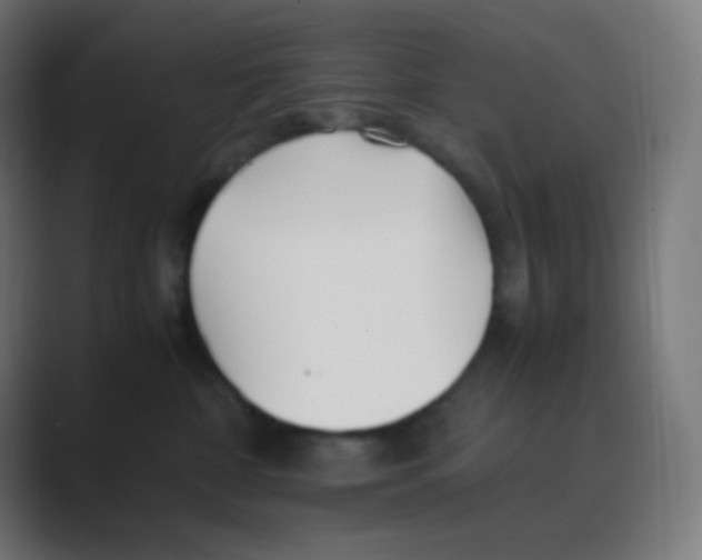 X0000088460332200706191334