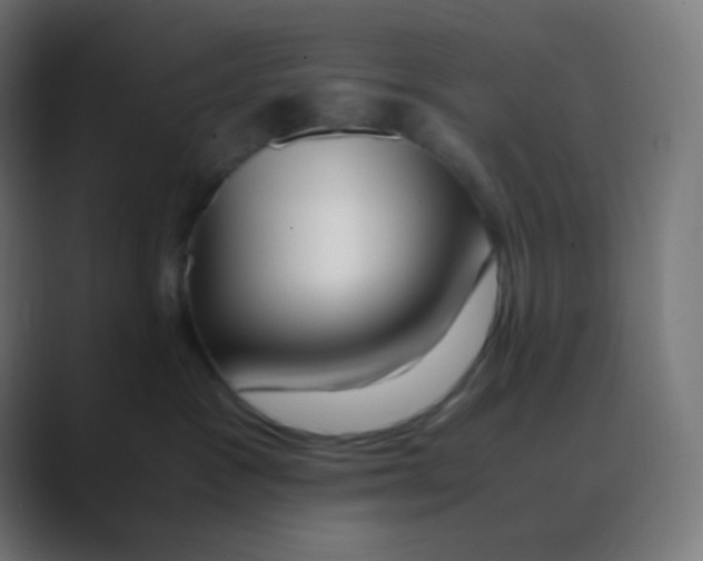 X0000088460333200706191334