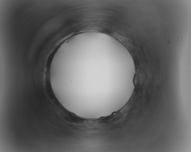 X0000088460338200706191333