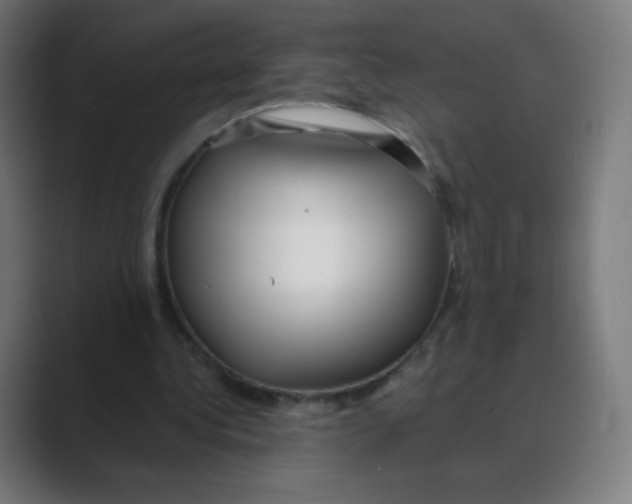 X0000088460340200706191333
