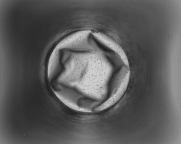 X0000088460342200706191333
