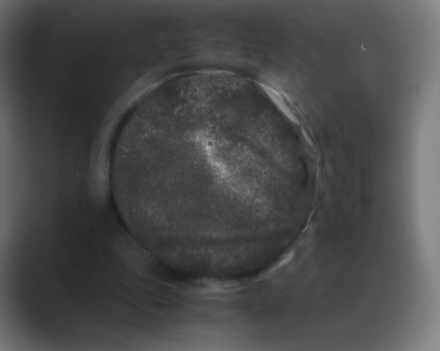 X0000088460343200706191333