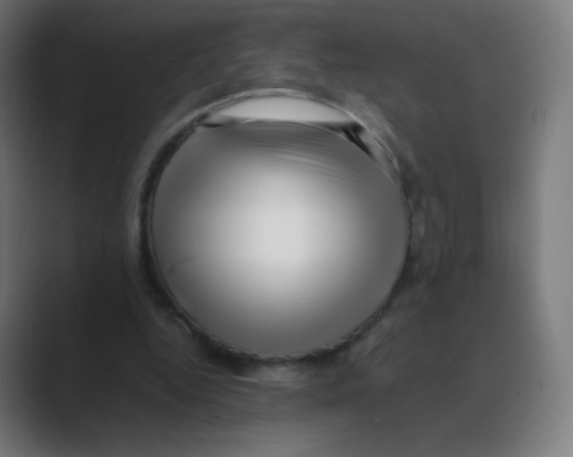 X0000088460344200706191333