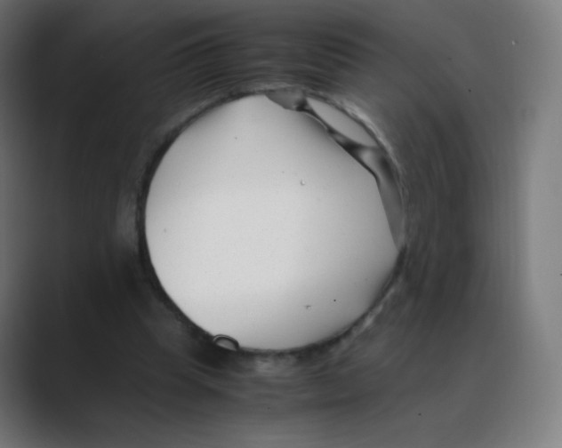 X0000088460345200706191333