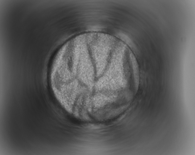 X0000088460346200706191333