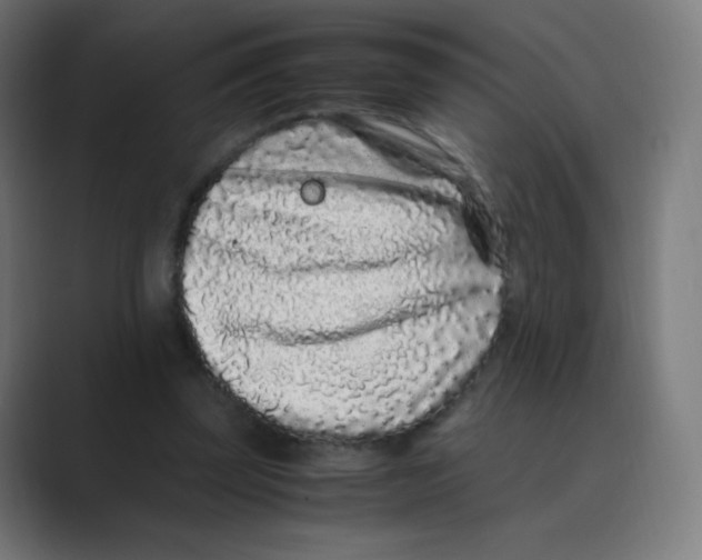 X0000088460347200706191333
