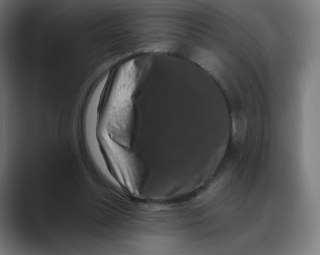 X0000088460348200706191333