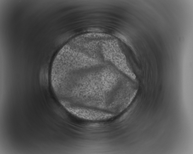 X0000088460349200706191333