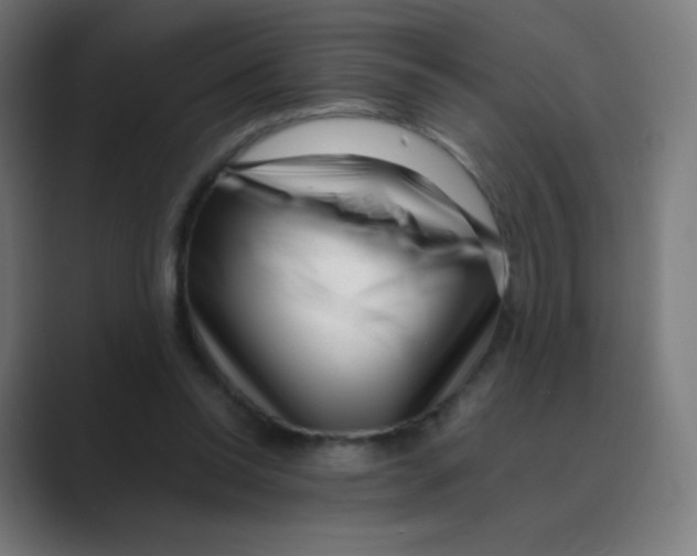 X0000088460350200706191333