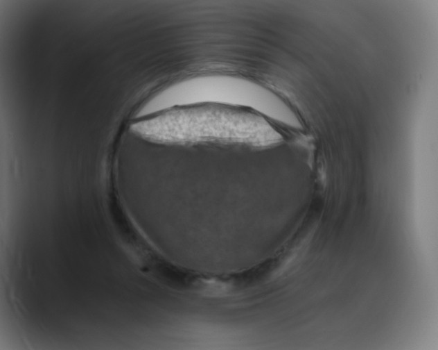 X0000088460352200706191333