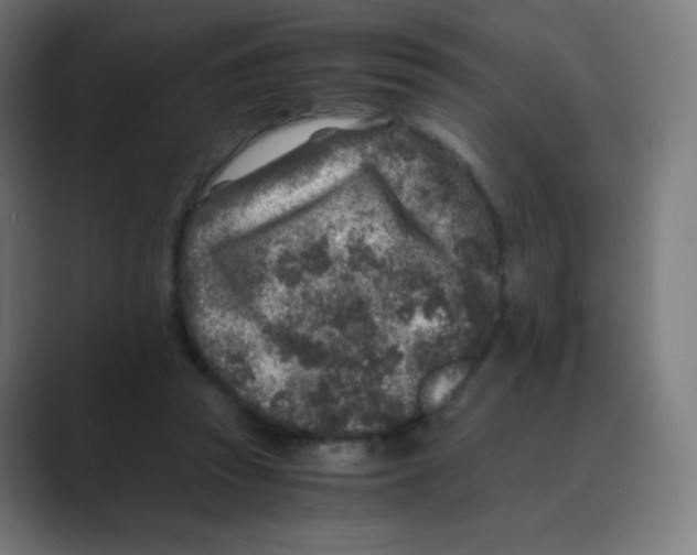 X0000088460353200706191333