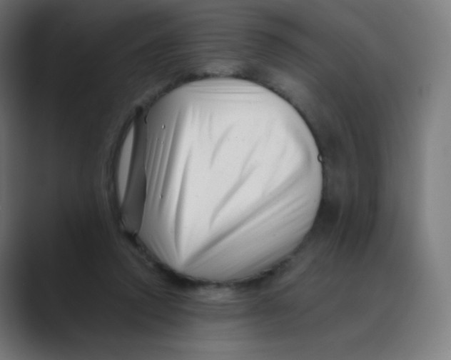 X0000088460354200706191333